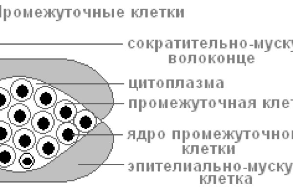 Kra49.at