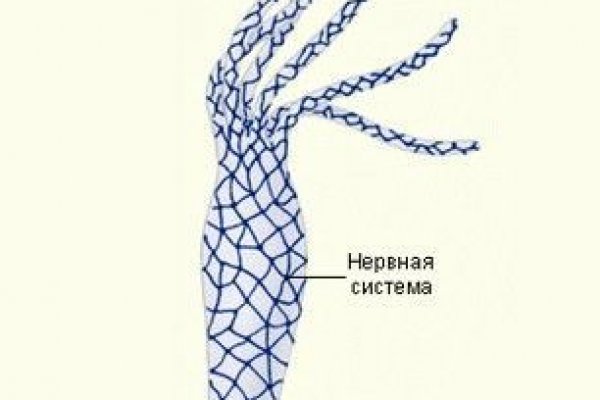 Оригинальные ссылки кракена