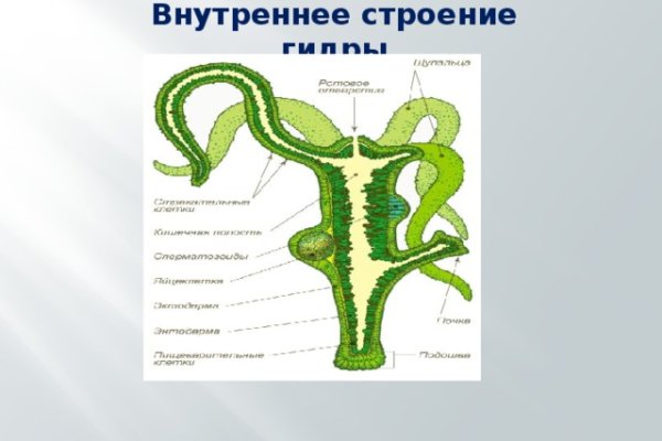Tor kraken маркет