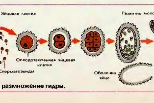 Как войти в кракен