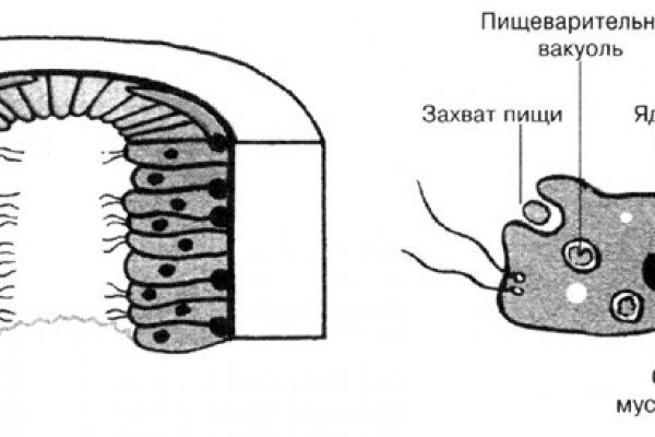 Кракен это что за сайт