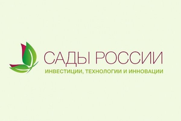 Kraken market ссылка