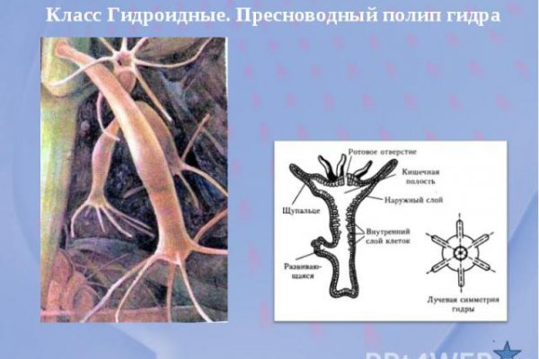 Kraken сайт tor