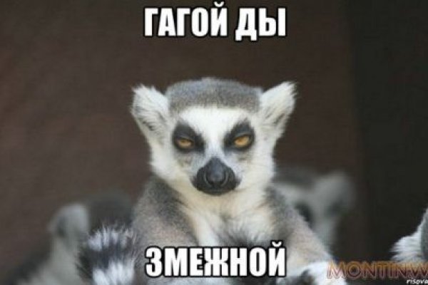 Кракен онион рабочая ссылка