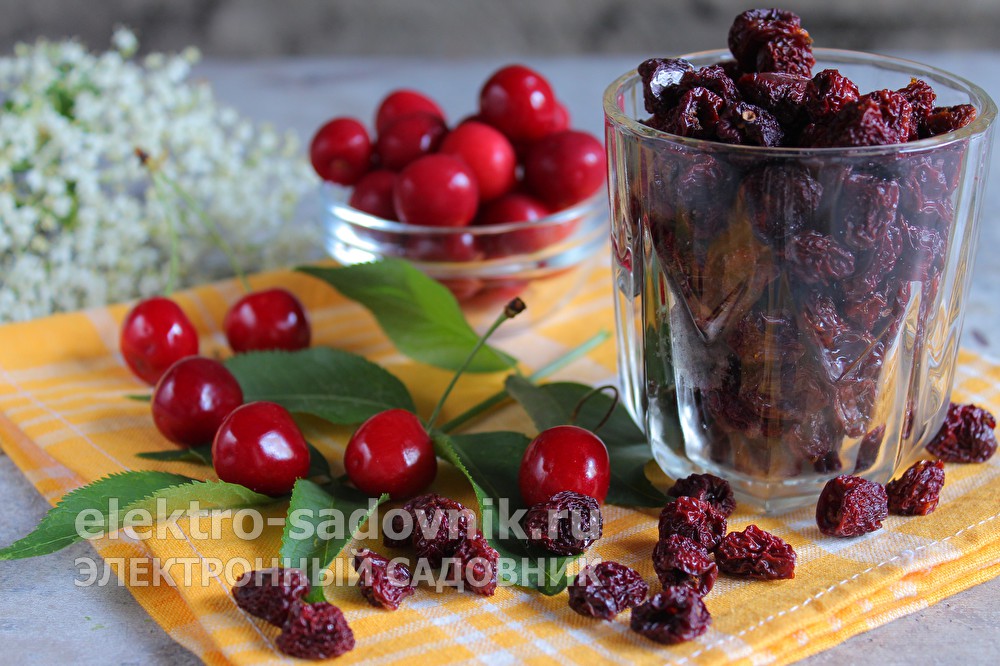 Ссылка на кракен шоп