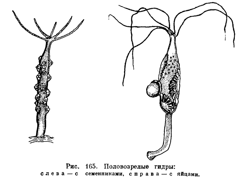 Кракен ссылка онион зеркало